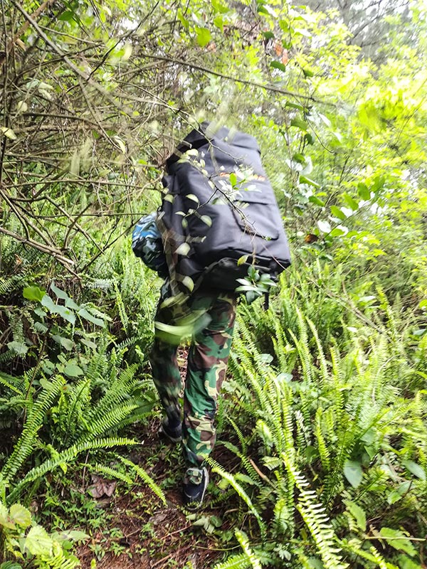 爬山3.jpg